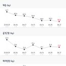 에르모크라이오테라피&다이어트 이미지