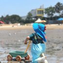 방아머리공원(솔밭) 이미지