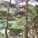 괴산호 처녀(칠성 괴산댐,갈음방향)2010.4.5 이미지