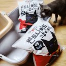 고양이 화장실 모래 마이티펫 국민모래 체험 후기