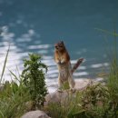 작은친구 이미지