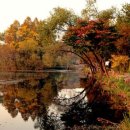 보통1리 마을회관 이미지