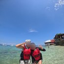 세친구 | [필리핀 세부] 세부 세친구투어 솔직 후기 오슬롭 고래상어 투어 현실 내돈내산