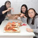 다스토어