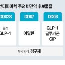 디앤디 이미지