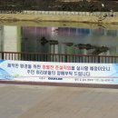 망월천_호수공원2 이미지