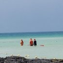 협재 맨드롱 이미지