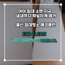 클린아이 | 울산 침대청소 에코클린, 아이 소변 자국 냄새 제거 후기