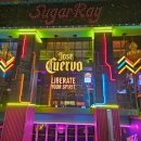 슈가레이펍 | [홍대 술집, 핫플] 외국인 많은 펍SugarRay 슈가레이 찐솔직후기
