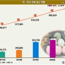 떡&한과 디저트 이미지