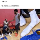 신어 Daum카페