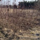 대목농장 이미지