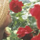 옥과고등학교 이미지