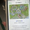 힐링랜드23 | [경기도사다리프로그램] 양스덤플링 | 8월 한여름 성수기 평일에 방문한 상해 디즈니랜드 후기 + 꿀팁