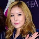 징거 카카오 검색결과