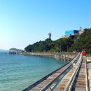 대천에너지 | 대천 보령 가볼만한곳 스카이바이크 주차 충청도 바다 여행