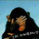 사오정 이미지