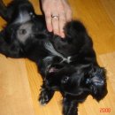 백년동물병원 이미지