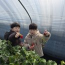 경희농장 이미지