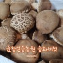 설송농원