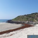 LK행정사무소 이미지