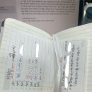 교육실습 및 2026년 1학기(3학년 2학기) 소회