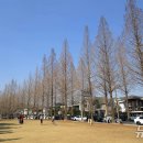 성산구 ⓒ-21 이미지