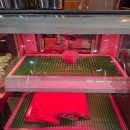 황제갈비 | [판교 유스페이스] 판교역 회식하기 좋은 맛있는 소고기 맛집 판교 '황제갈비' - 내돈내산 후기