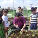 초록향기작은도서관 이미지