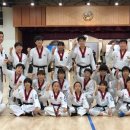 용인대통일태권도 이미지