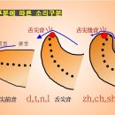 블라멩코 카카오 검색결과