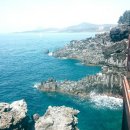 삼박농장 이미지