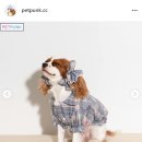 슈슈홀릭 이미지