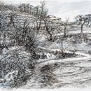 산수싸리 이미지