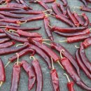 희나리농장 이미지