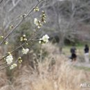 상예동-13 이미지