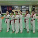 세계태권도도장 이미지