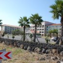 일성제주콘도 이미지