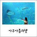 뚜벅이 제주도 혼자여행 후기, 아쿠아플라넷 제주 할인 받고 해녀 전시까지