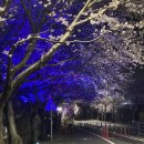 검단신도시 호텔 에이치애비뉴 이미지