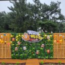 용인 조비산(294m)대신, 경남 남해 변경 =》금산(701m)/한려해상국립공원 이미지