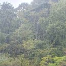 큰솔가든 이미지