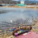 칠곡천 이미지