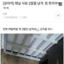 강아지맨날 사료를 두알 남겨뭔 뜻인지 이미지