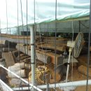 제주빌레성통나무휴양펜션 이미지