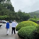 상록마을길 이미지