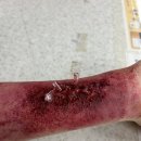 순천세빛중학교 이미지