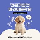 애견미용사를 꿈꾼다면? 더이상 미루지말고 도전하세요!! 이미지