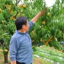 잣나무골 이미지