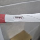 둔지축산 | 임신일기1. 임밍아웃 4주/ 5주/ 6주차 증상, 절박유산